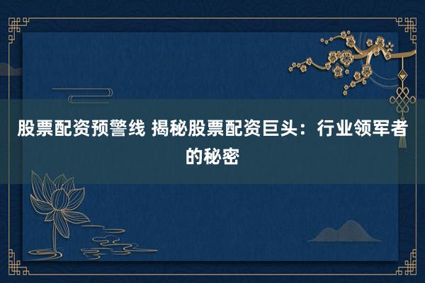 股票配资预警线 揭秘股票配资巨头：行业领军者的秘密