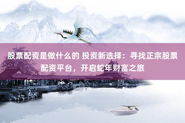 股票配资是做什么的 投资新选择：寻找正宗股票配资平台，开启蛇年财富之旅