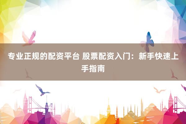 专业正规的配资平台 股票配资入门：新手快速上手指南