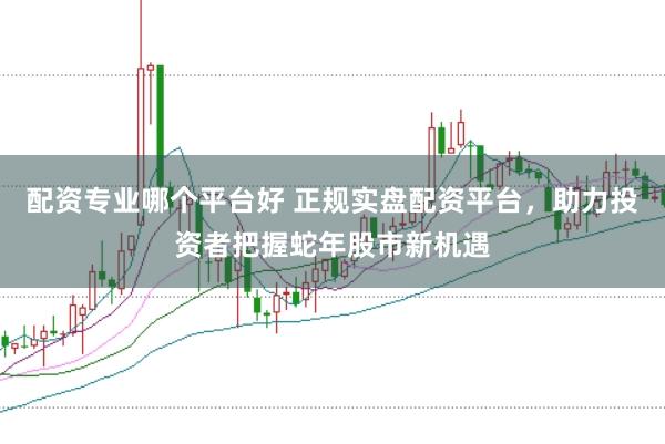 配资专业哪个平台好 正规实盘配资平台，助力投资者把握蛇年股市新机遇