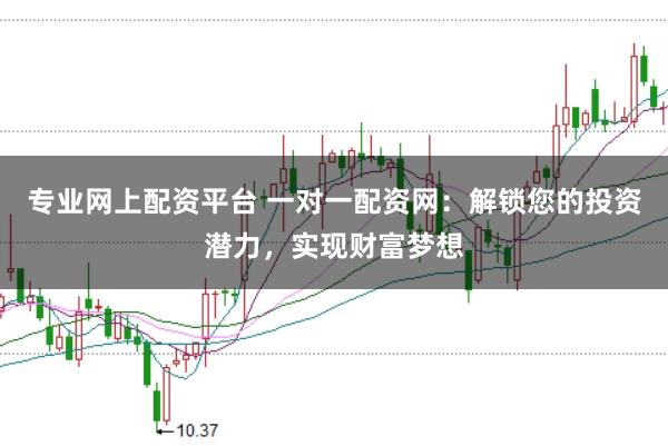 专业网上配资平台 一对一配资网：解锁您的投资潜力，实现财富梦想