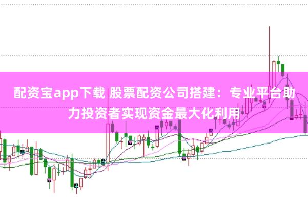 配资宝app下载 股票配资公司搭建：专业平台助力投资者实现资金最大化利用