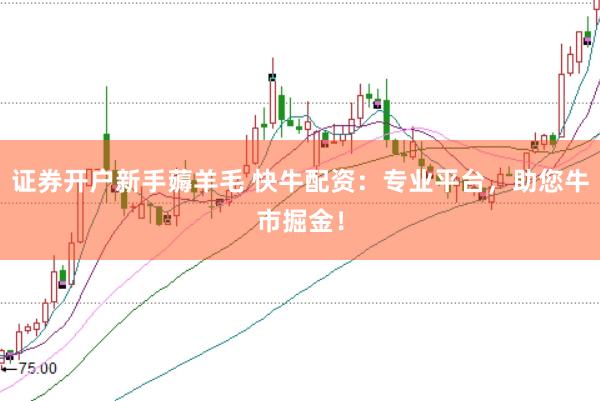 证券开户新手薅羊毛 快牛配资：专业平台，助您牛市掘金！
