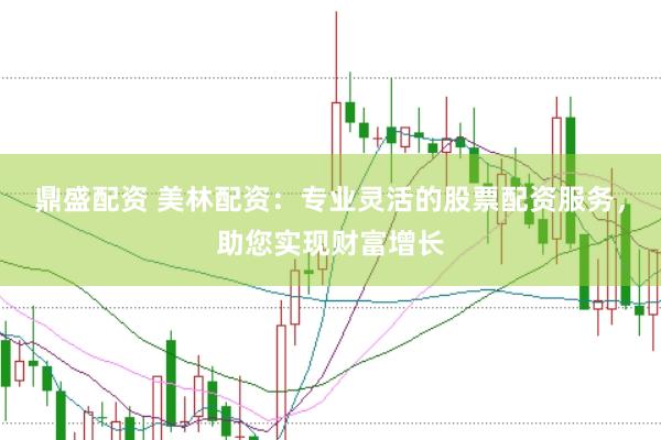 鼎盛配资 美林配资：专业灵活的股票配资服务，助您实现财富增长