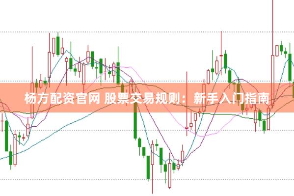 杨方配资官网 股票交易规则：新手入门指南
