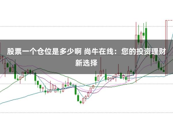 股票一个仓位是多少啊 尚牛在线：您的投资理财新选择