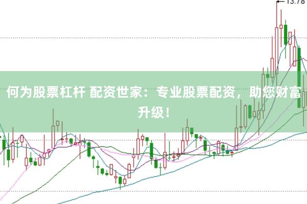 何为股票杠杆 配资世家：专业股票配资，助您财富升级！