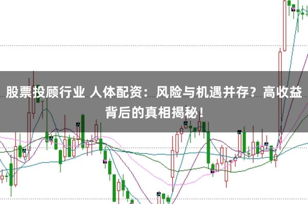 股票投顾行业 人体配资：风险与机遇并存？高收益背后的真相揭秘！