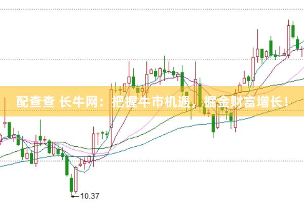 配查查 长牛网：把握牛市机遇，掘金财富增长！