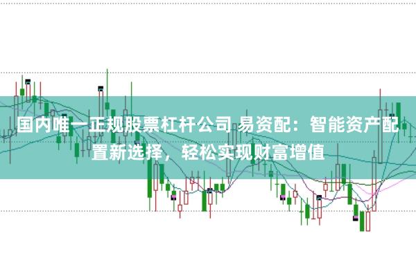 国内唯一正规股票杠杆公司 易资配：智能资产配置新选择，轻松实现财富增值