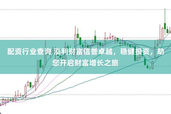 配资行业查询 泓利财富信誉卓越，稳健投资，助您开启财富增长之旅