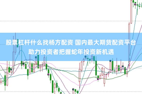 股票杠杆什么找杨方配资 国内最大期货配资平台助力投资者把握蛇年投资新机遇