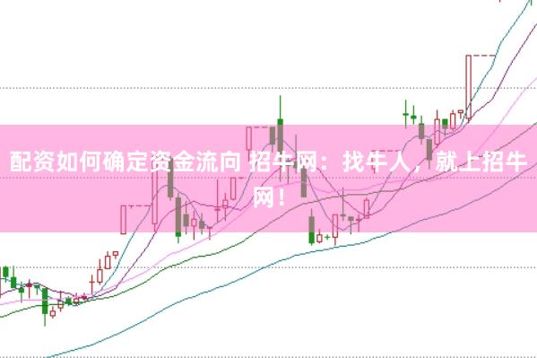 配资如何确定资金流向 招牛网：找牛人，就上招牛网！