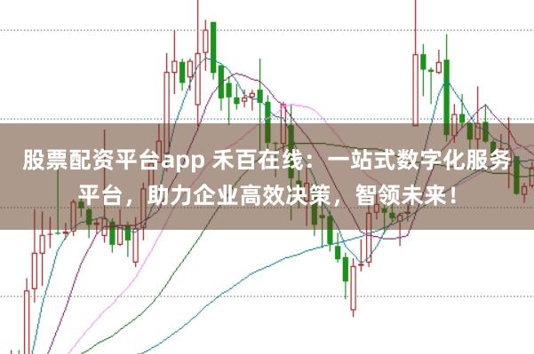 股票配资平台app 禾百在线：一站式数字化服务平台，助力企业高效决策，智领未来！