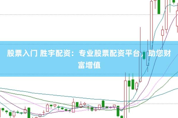 股票入门 胜宇配资：专业股票配资平台，助您财富增值