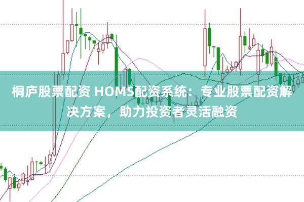 桐庐股票配资 HOMS配资系统：专业股票配资解决方案，助力投资者灵活融资