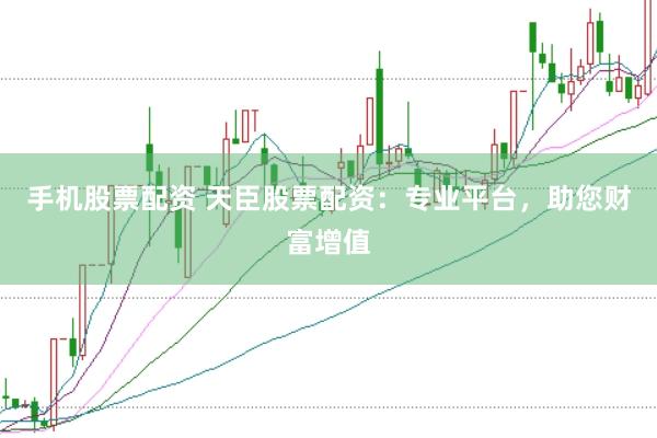 手机股票配资 天臣股票配资：专业平台，助您财富增值