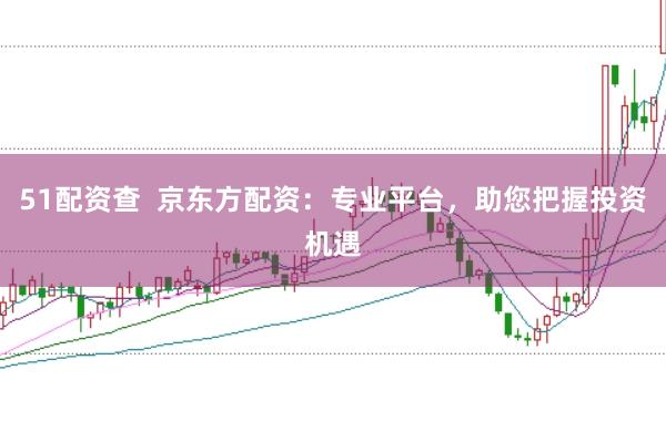 51配资查  京东方配资：专业平台，助您把握投资机遇