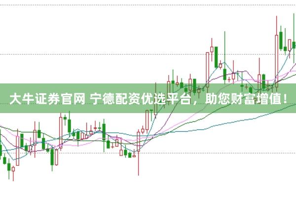 大牛证券官网 宁德配资优选平台，助您财富增值！