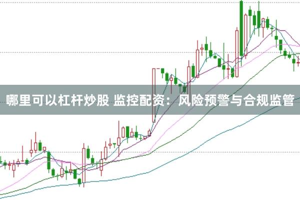哪里可以杠杆炒股 监控配资：风险预警与合规监管
