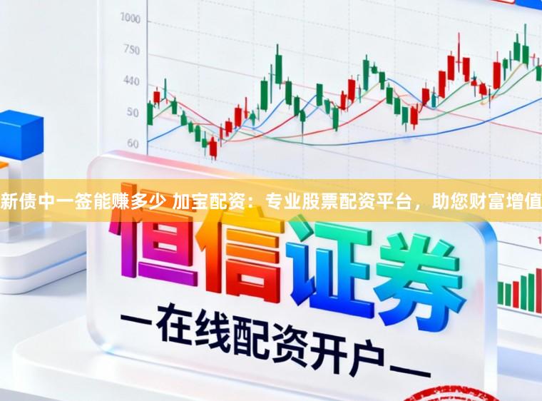 新债中一签能赚多少 加宝配资：专业股票配资平台，助您财富增值